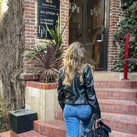 酒店 多米楼酒店 3*